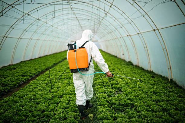 Pest Control for Restaurants in Rock Valley, IA