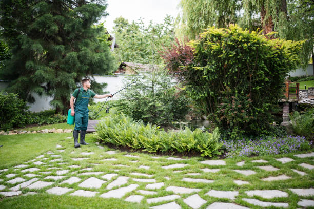 Professional Pest Control in Rock Valley, IA