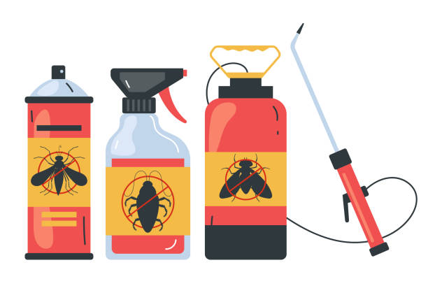 Best Rat Extermination Near Me  in Rock Valley, IA