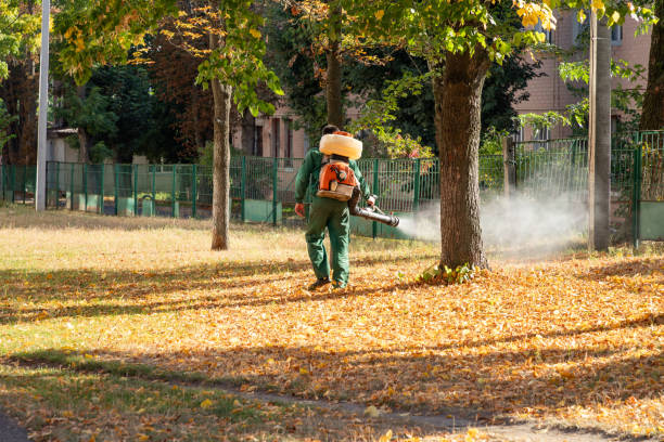 Best Exterminator Services  in Rock Valley, IA