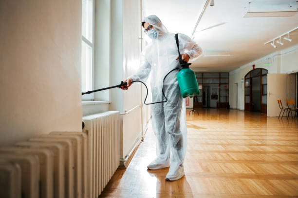 Best Best Pest Control Companies  in Rock Valley, IA