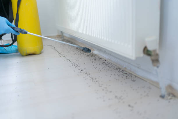 Best Commercial Pest Control Services  in Rock Valley, IA